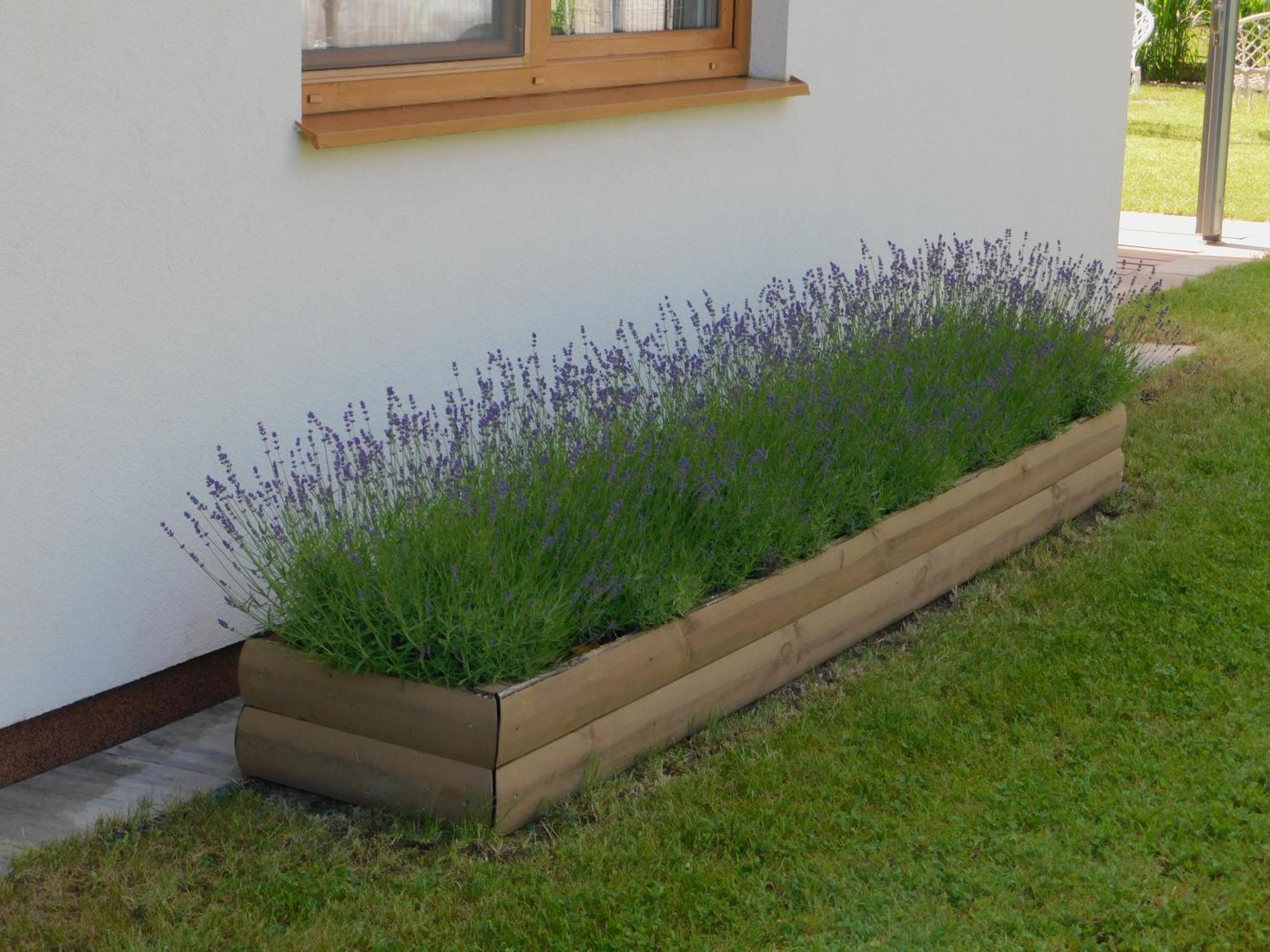 Forest House Sasino-Spa Sauna Balia 外观 照片